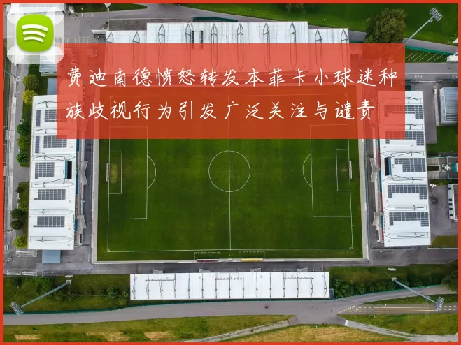 费迪南德愤怒转发本菲卡小球迷种族歧视行为引发广泛关注与谴责
