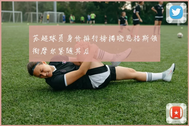苏超球员身价排行榜揭晓恩格斯领衔摩尔紧随其后